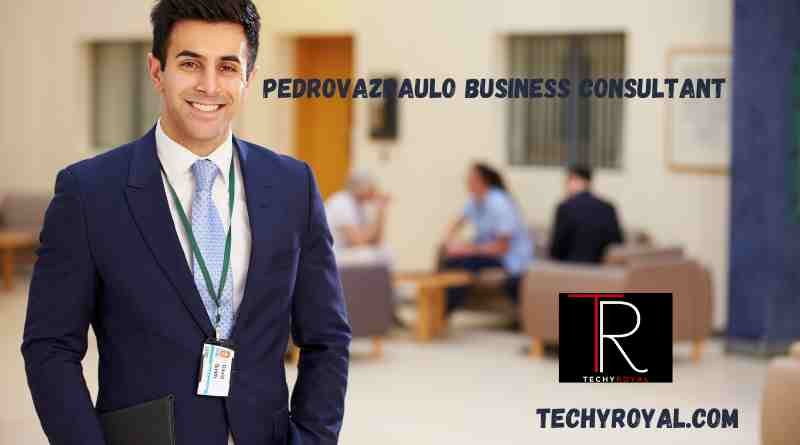 Expert Business Consulting: Elevate Your Strategy with Pedrovazpaulo